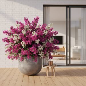 Bougainvillea — jak uprawiać tę egzotyczną piękność w domu?
