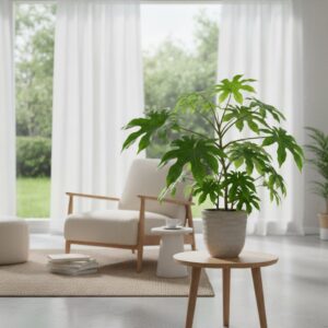 Fatsia japonica — jak uprawiać tę efektowną roślinę w domu?