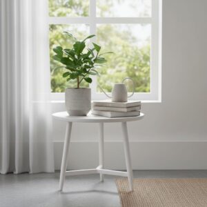 Ficus lyrata Bambino — jak pielęgnować tę miniaturową odmianę?