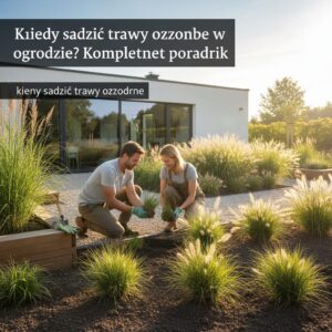 Kiedy sadzić trawy ozdobne w ogrodzie? Kompletny poradnik
