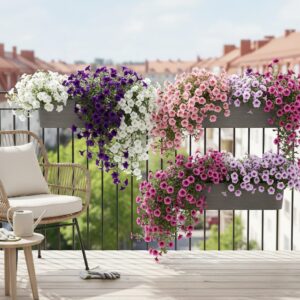 Kiedy surfinie na balkon? Optymalny termin i zasady sadzenia