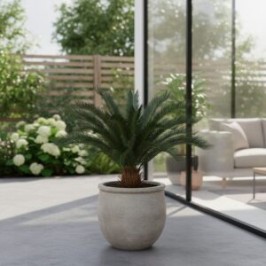 Sagowiec odwinięty (Cycas revoluta) — jak dbać o ten żywy skamielinę?