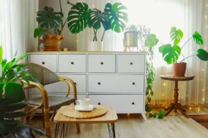 Estetyka wnętrz i trwałość dekoracji roślinnych. Kierunki rozwoju współczesnego designu florystycznego w aranżacji domowej